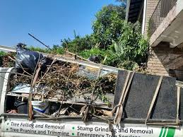 Types of Items We Remove From Your Property in Orchard Grass Hills, KY